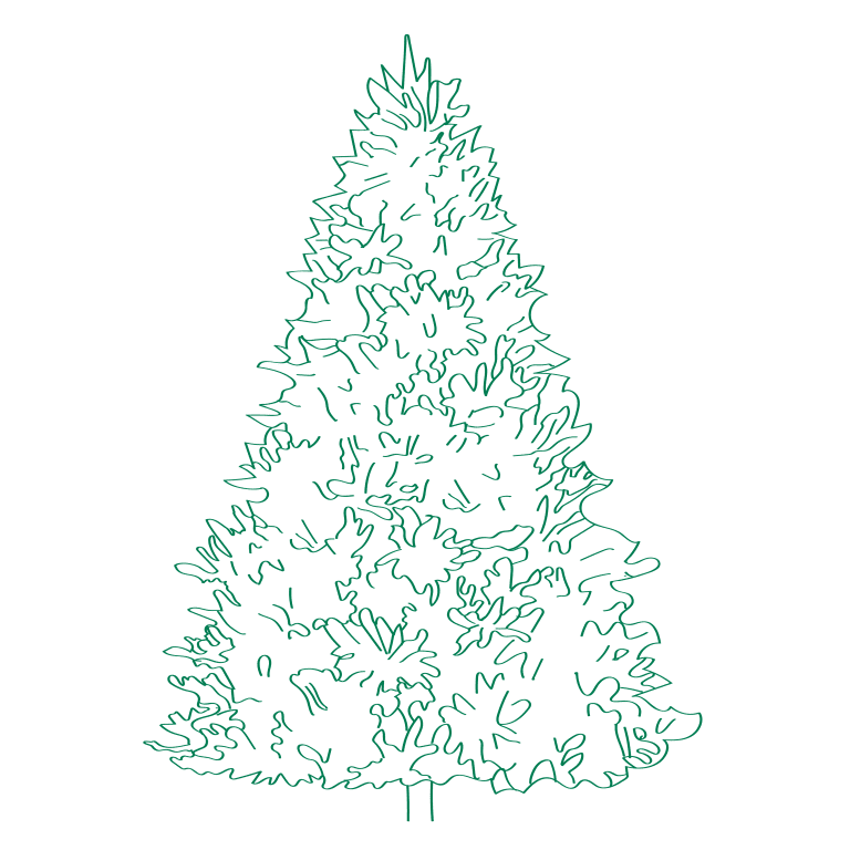 Digital illustration of a christmas tree in green outline
