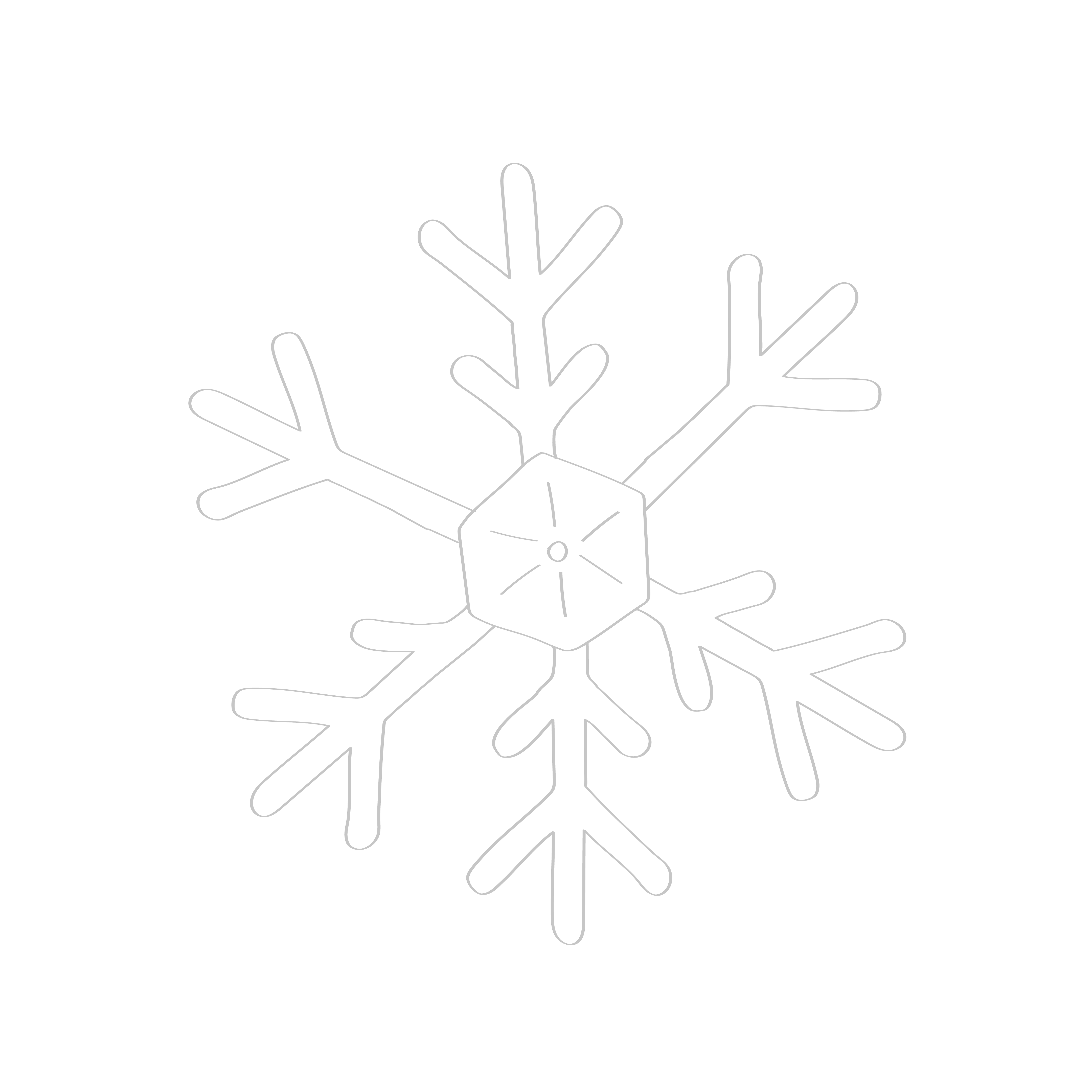 Digital illustration of snowflake in gray