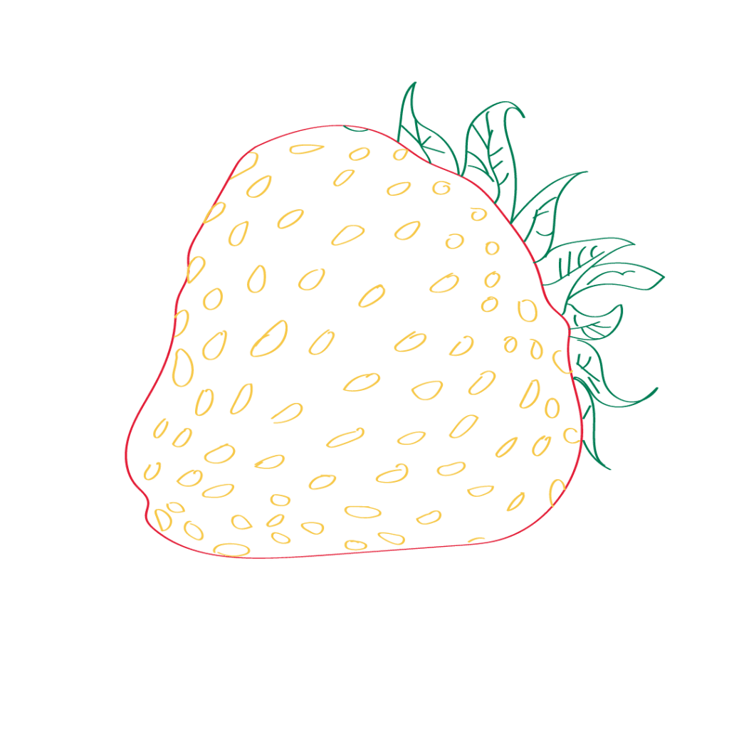 Digital illustration of strawberry in coloured lines