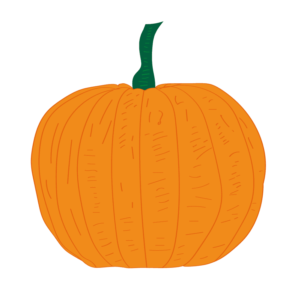 Digital illustration of pumpkin in full colour