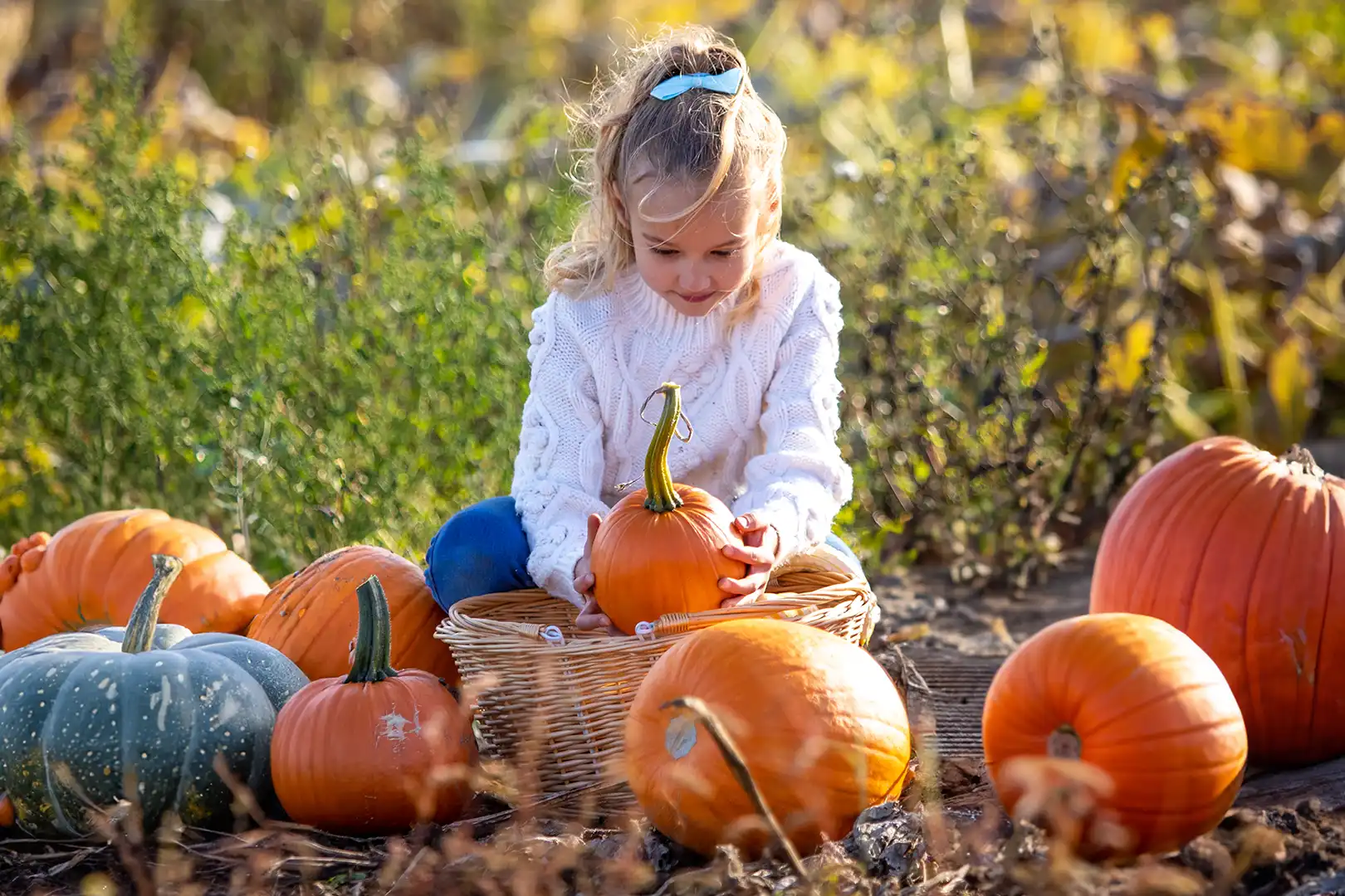 Young girl enjoying Pick Your Own Pumpkins at Lillingstone Pick Your Own Farm