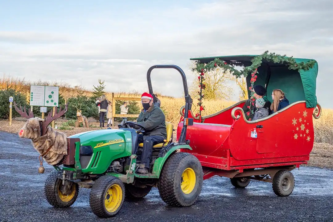 A festive tractor and sleigh ride at lillingstone pick your own
