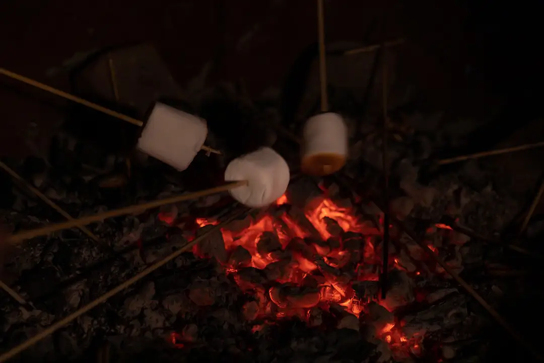 Marshmallows toasting over a wood fire at lillingstone pick your own