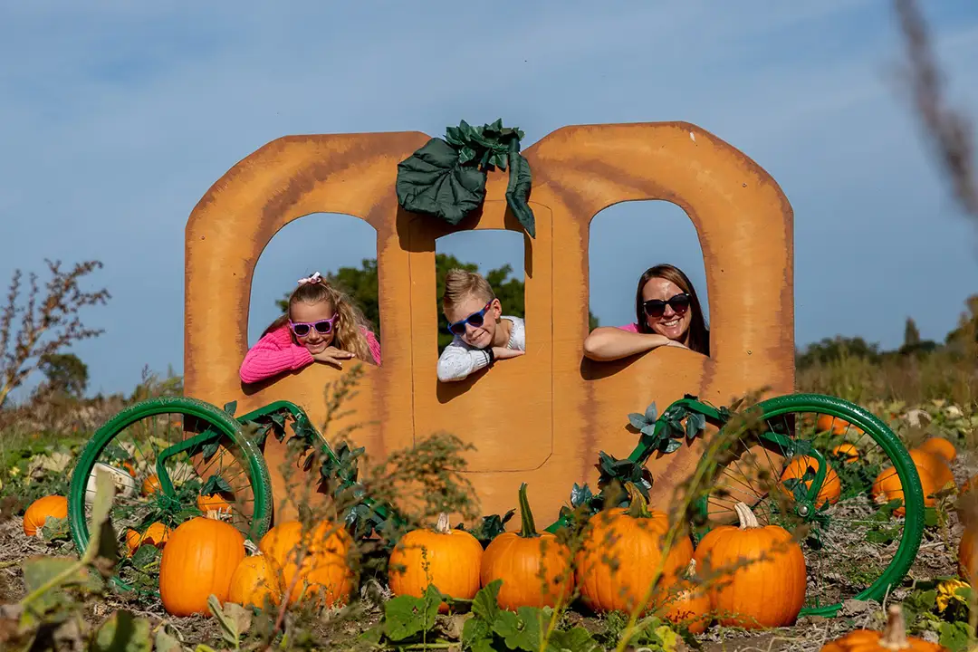 Photo opportunities at lillingstone pick your own farm