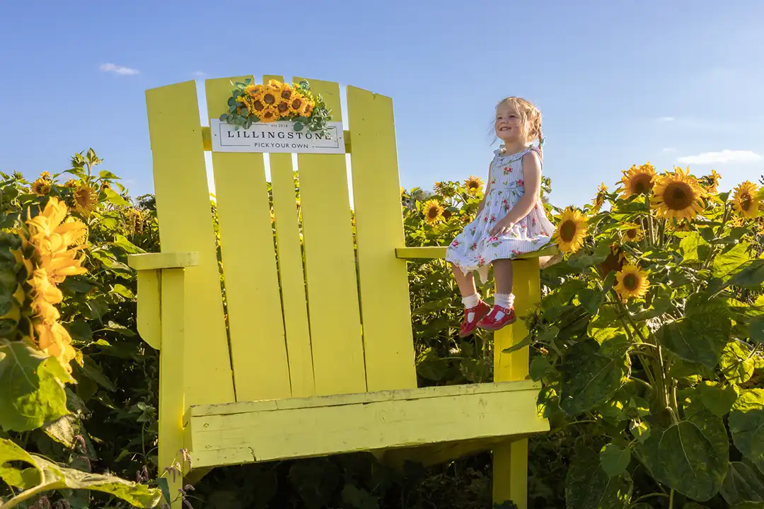 Summer Adventures 5 Photo opportunities at lillingstone pick your own