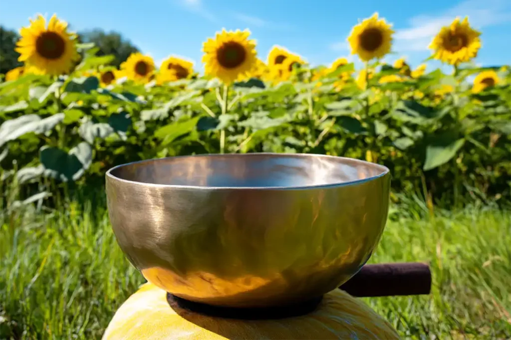 Summer Adventures 12 A soundbath bowl in a field of sunflowers