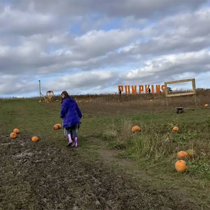 Pumpkin Picking 18 Lianne