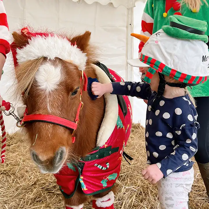 A young child pets a festively dressed shetland pony at lillingstone pick your own