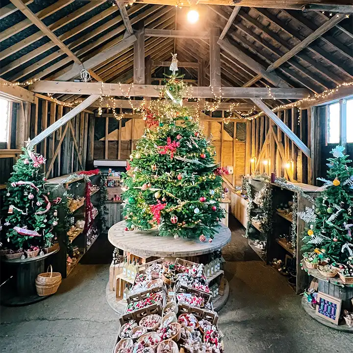 A view of the christmas shop at lillingstone pick your own, densely packed with trees and gifts