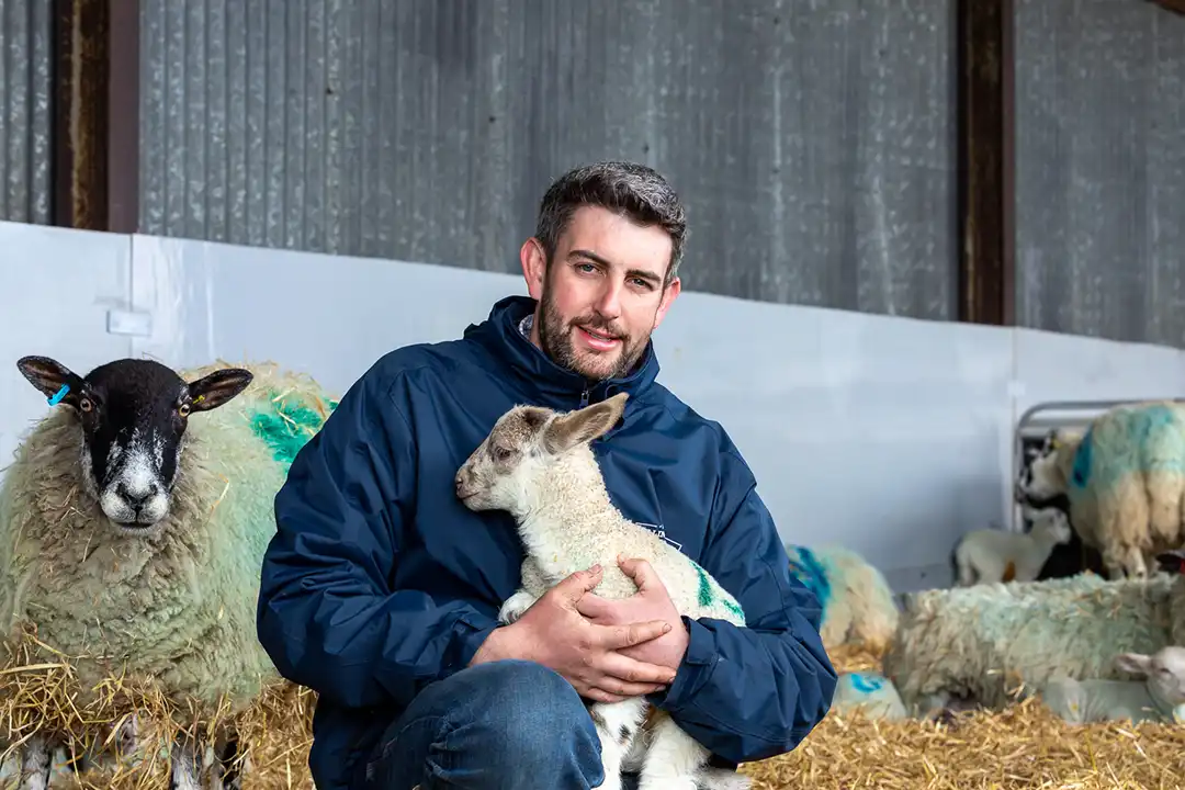 Farmer Tom Talks Lambs
