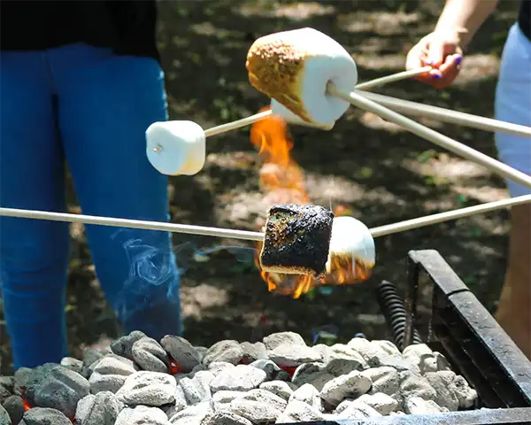 Marshmallow toasting at Lillingstone Pick Your Own