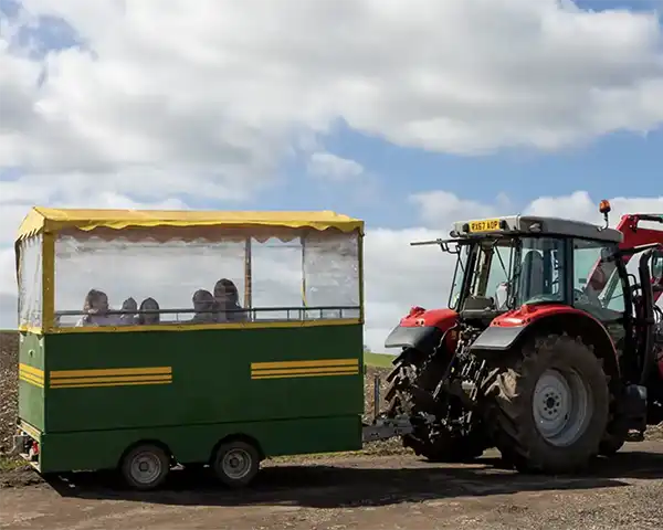 Tractor trailer rides at lillingstone pick your own farm