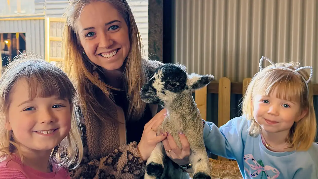 ChildrensParties LambHolding