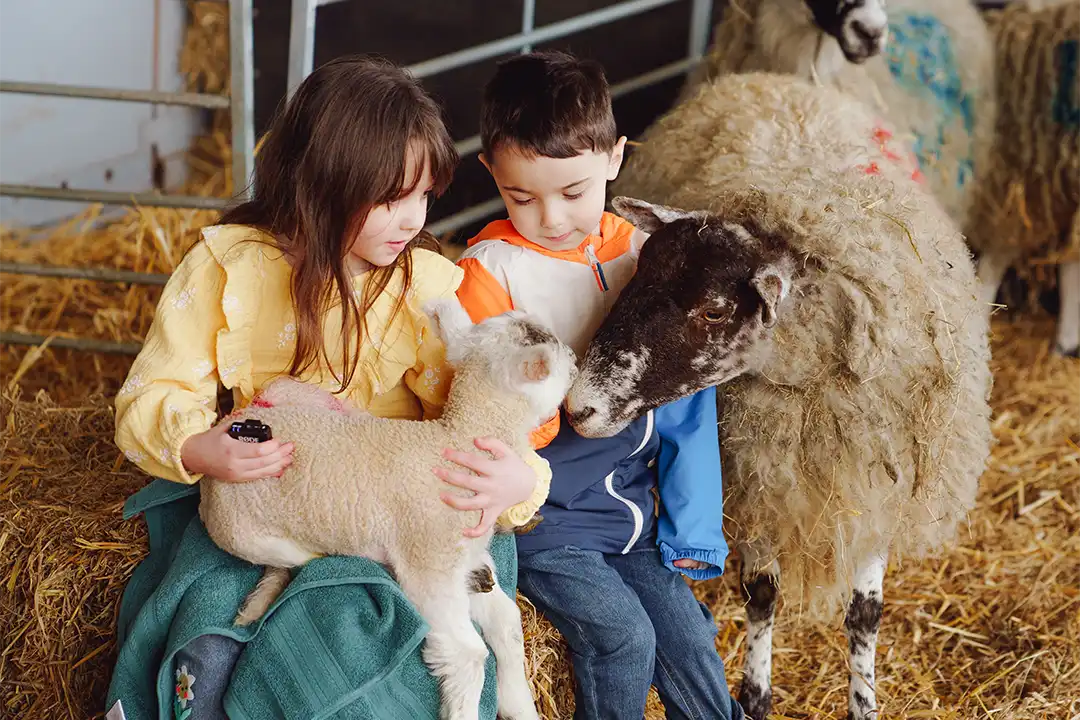 Two children cradle a lamb at lillingstone pick your own farm