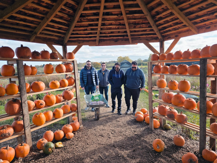 Four visitors pushing a wheelbarrow through a wooden shelter lined with rows of pumpkins.