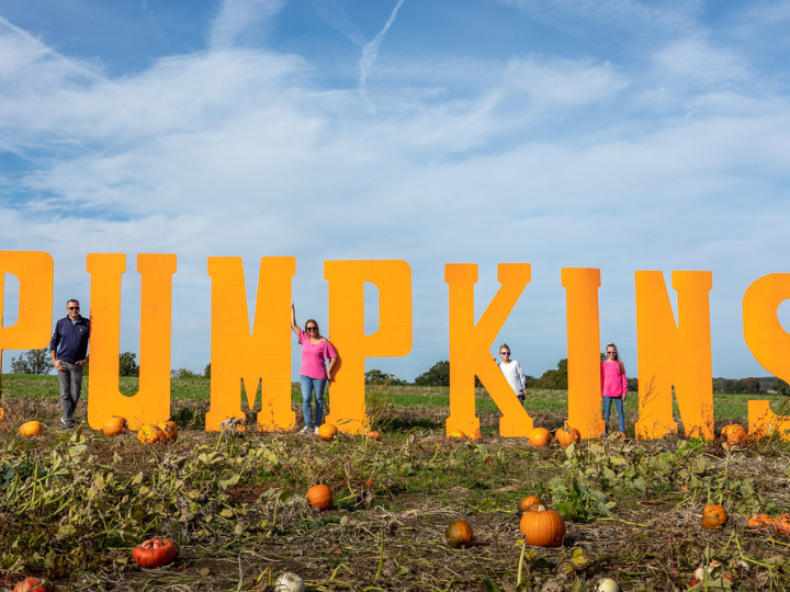 A large pumpkin sign on a field of pumpkins